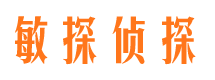 东至市调查公司